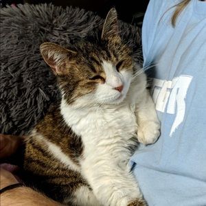 Meet your Posher, Matt